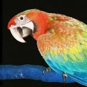 Tropicana