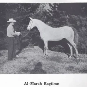 Al-Marah Ragtime