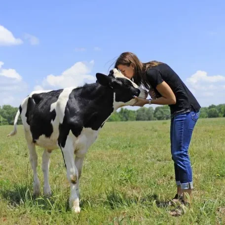 NASCAR couple shares passion for sheltering goats, rabbits, birds, exotic reptiles and even a cow on 177-acre property north of Charlotte.