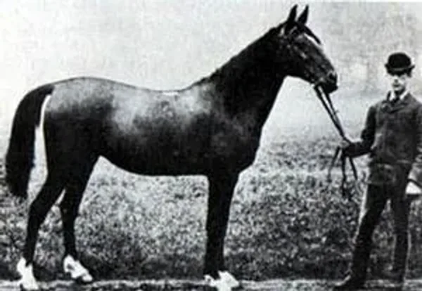 Meshura