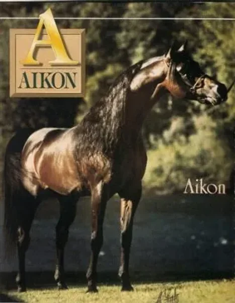 Aikon