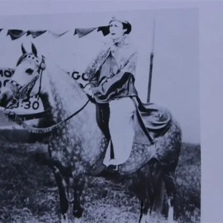 Almaza (Raseyn x Maazza) grey mare, foaled April 17, 1948bred by United States Government