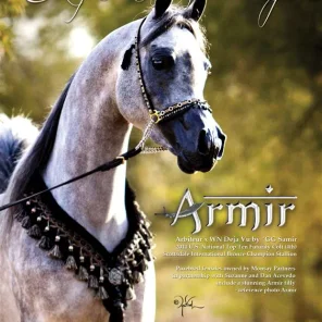 Armir