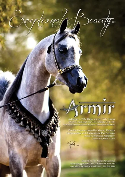 Armir