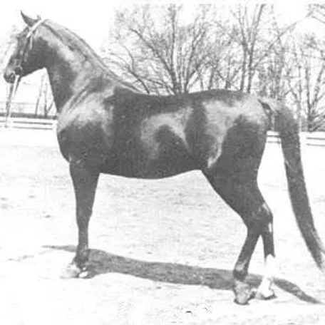 ALCAZAR