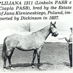 Liliana
