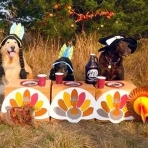 Your Favorite Thanksgiving Pics/Videos
