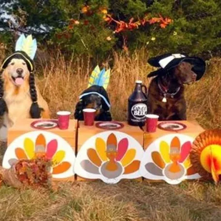 The first Petgrims!