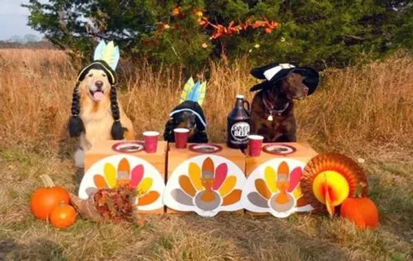 The first Petgrims!