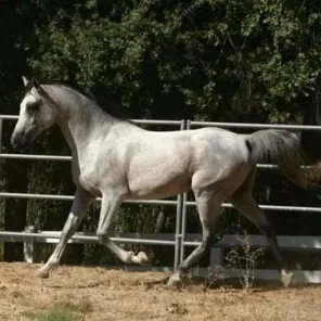 Farenhyte