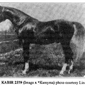 ARABI KABIR