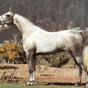 SV Hileela