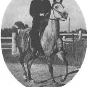 Frankokhla