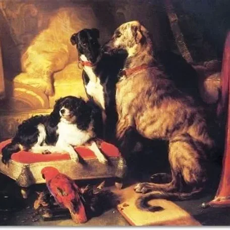 Pets of the Tudors