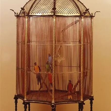 Magnificent Bird Cages