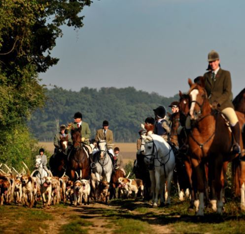Autumn hunting: H&H’s dos and don’ts