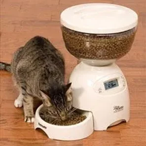 Can New Cat Feeders Help Solve Mealtime Problems?