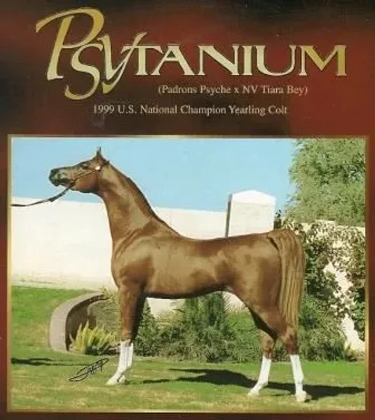 Psytanium