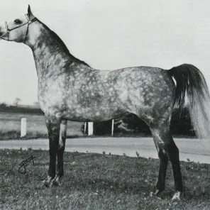 HERITAGE DESIREE