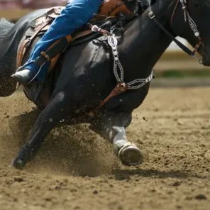 Barrel Racing