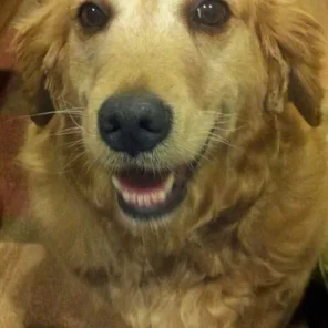 Macy