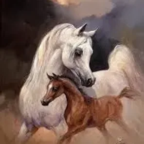 2019 Luxemere foal 5, Acevedo & Roberson