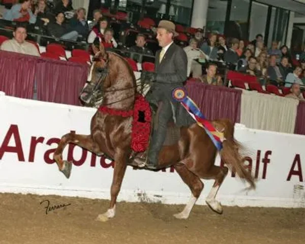 ANZA PADRON