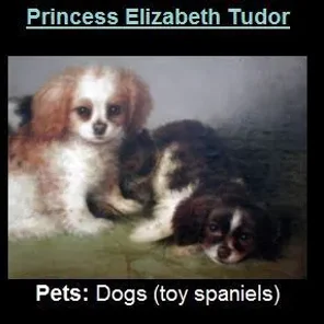 The Tudors Beloved Pets Pt 3