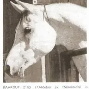 BAAROUF