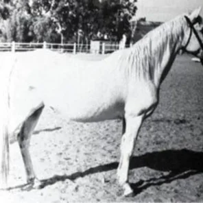 GHORRA