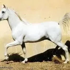 IKHNATOON