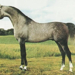 HERITAGE ELEGANT
