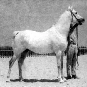 ENZAHI