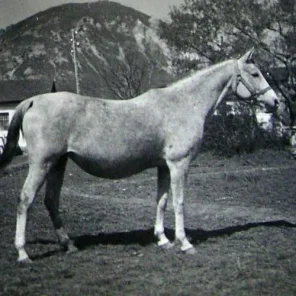 KAMEA