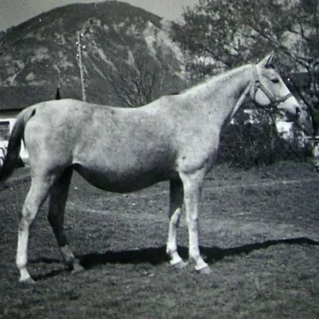 KAMEA