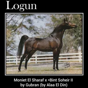 LOGUN