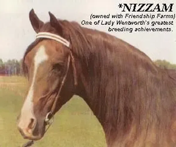 *NIZZAM