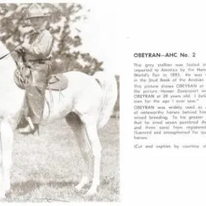 *OBEYRAN