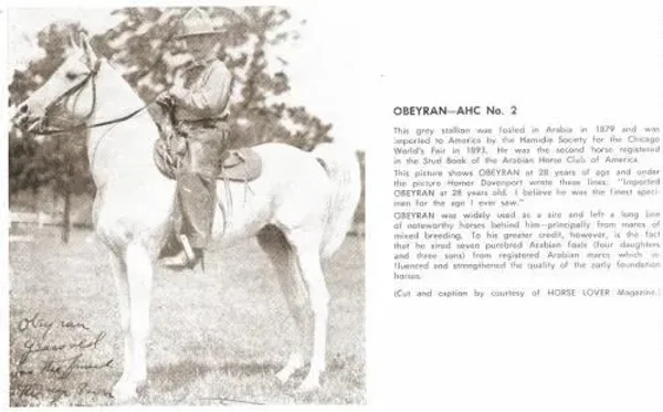 *OBEYRAN