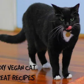 5 Easy DIY Vegan Cat Treat Recipes
