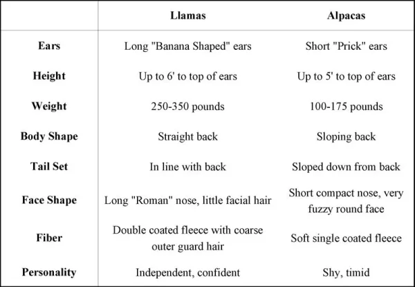Alpaca vs Llama, What are the Differences