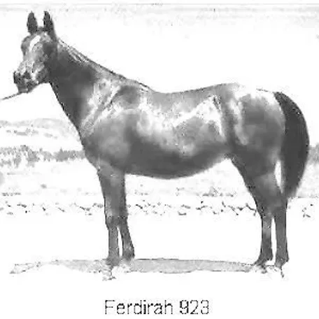 FERDIRAH
