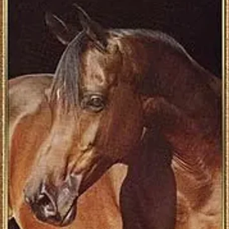 DAHMAH SHAHWANIAH