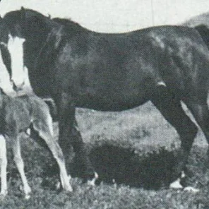 Bay-Lynn