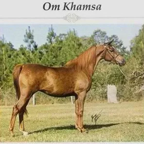 om khamsa