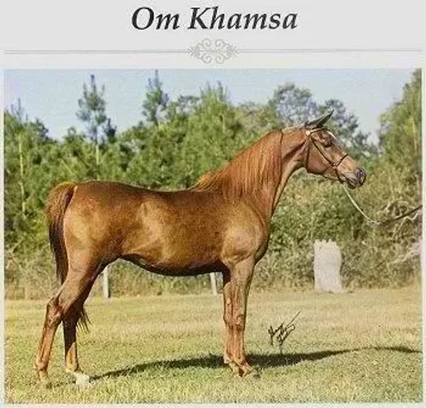 om khamsa