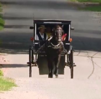 Amish man starts "Uber" ride service with his horse and buggy