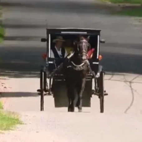 Amish man starts "Uber" ride service with his horse and buggy