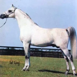 Amurath Baikal