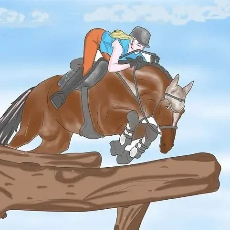 Riding Disciplines and Equestrian Styles - which is right for you